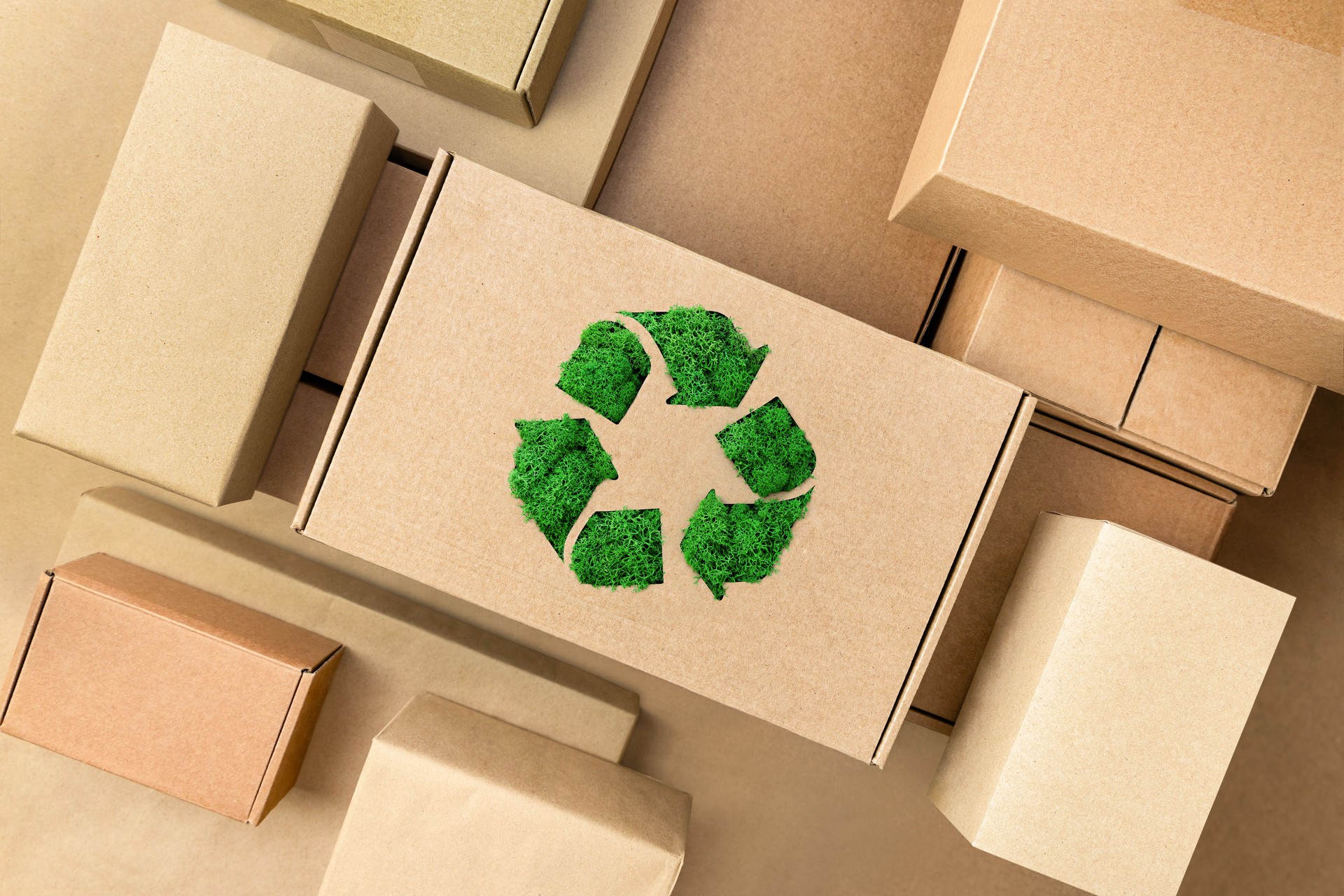 eco boxes